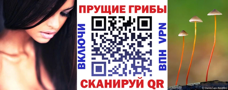 Псилоцибиновые грибы Magic Shrooms Котово